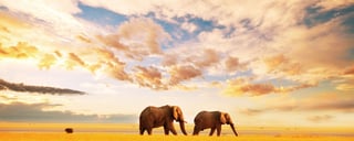 10 fotogene Orte in Kenia