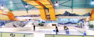 Glide on Ice at The Panari Ice Skating Rink in Nairobi