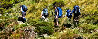 Go hiking and birding at Mutha Hills