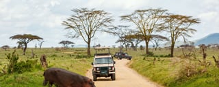 Go on a wildlife safari at Tsavo East National Park