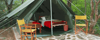 Maasai Simba Camp