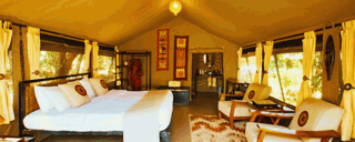 Mara Eden Safari Camp