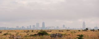 Nairobi-Nationalpark