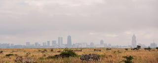Nairobi National Park