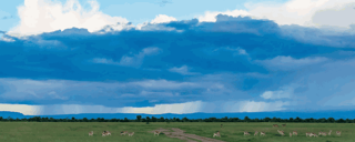 Il tempo in Kenia