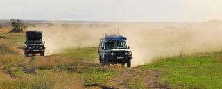 Wildlife Safari Parks