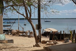 Lamu Island, Kenya