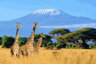 2nd Uganda-Kenya Coast Tourism Conference