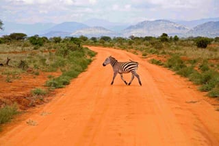 Aberdares National Park