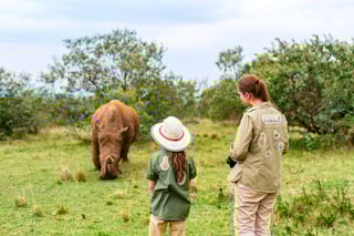 Back View Of Family On Safari Walking Close To White Rhino Back View Of Family On Safari Walking Close To White Rhino