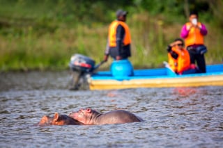 Domestic Tourism in Kenya