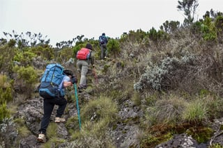 exploring elephant hill trekking adventure in the aberdare ranges