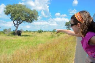 Family Safari Vacation In Africa Child In Car Looking At Elephant In Savannah Kruger National Park Family Safari Vacation In Africa Child In Car Looking At Elephant In Savannah Kruger National Park
