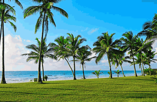 Mombasa and the Kenyan Coast