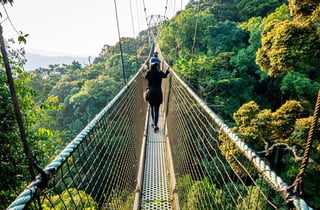 Nyungwe National Park rainforest landscape