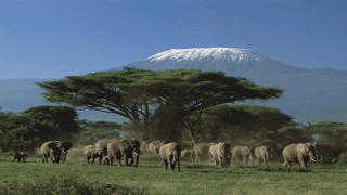 Tips for Obtaining a Tourist Visa in Kenya
