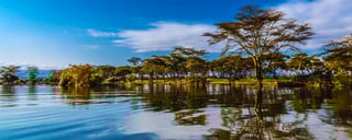 Naivasha-See