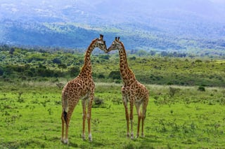 Meru-Nationalpark