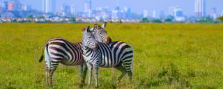 Nairobi-Nationalpark