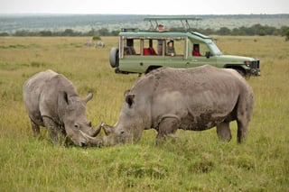 Ol Pejeta Conservancy