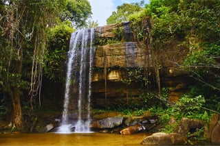 Shimba Hills Nationalreservat