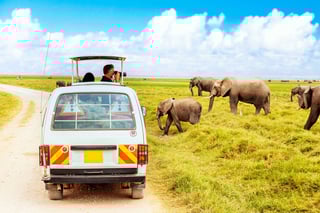 Tourists Taking Photos Of Wild Elephants In Amboseli National Park Kenya Safari Concept Tourists Taking Photos Of Wild Elephants In Amboseli National Park Kenya Safari Concept