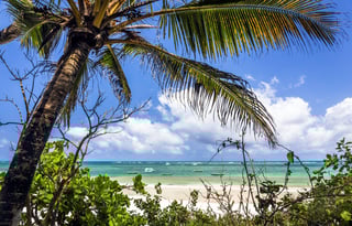 Amazing Diani beach seascape with white sand and turquoise Indian Ocean, Kenya