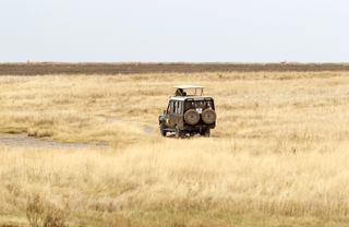 Game drive and boat safari Uganda