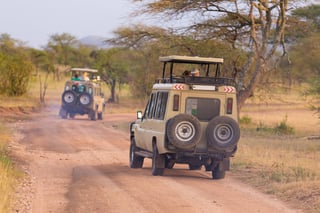 Vehicles In African Wildlife Safari Vehicles In African Wildlife Safari