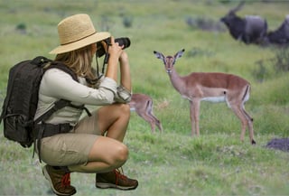 Young Lady in Safari Attire Taking Photographs of African Wildlife Young Lady in Safari Attire Taking Photographs of African Wildlife