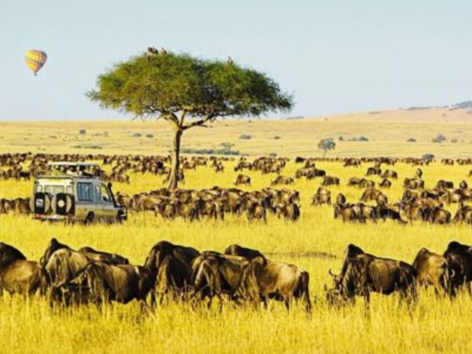 Masai Mara Nationalreservat