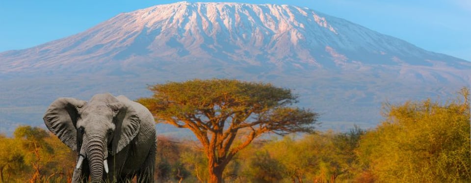 Top Places To Visit In Kenya