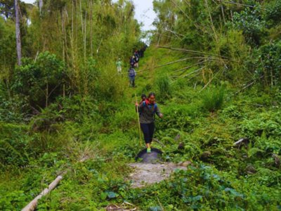 Trek through the Scenic Aberdares