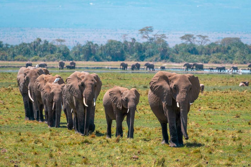 Natural Beauty And Wildlife