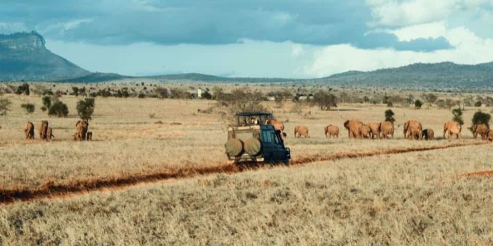 Exploring the Gems of Kenya