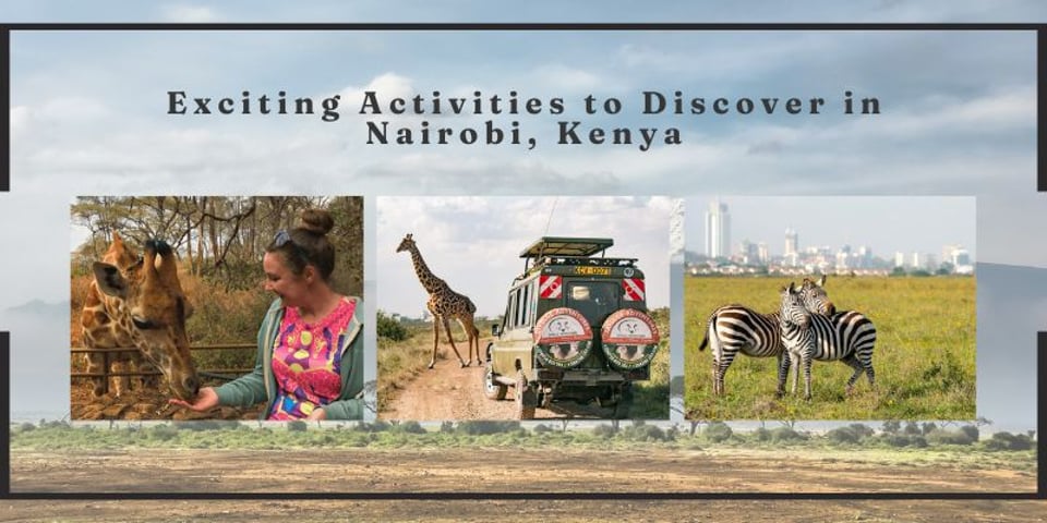 Hidden Gems Exciting Activities to Discover in Nairobi