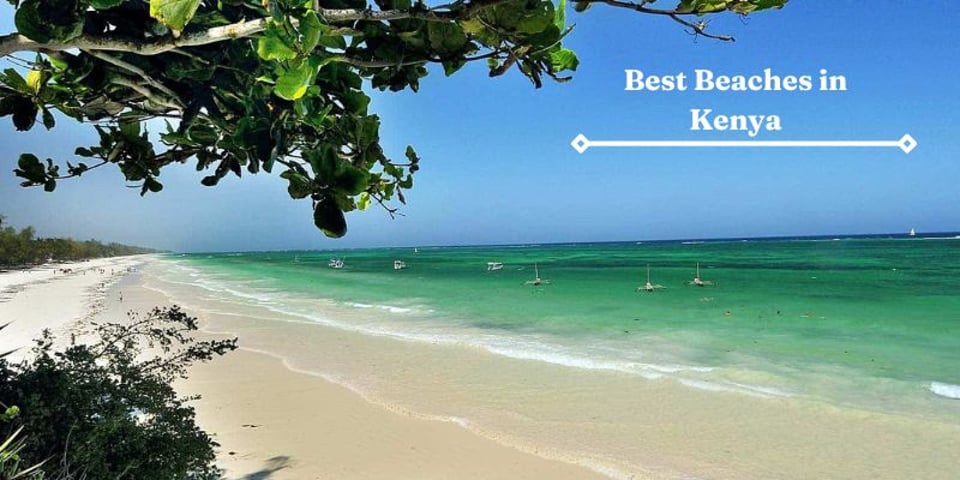 Kenyan Coast Top 10 best beaches in kenya