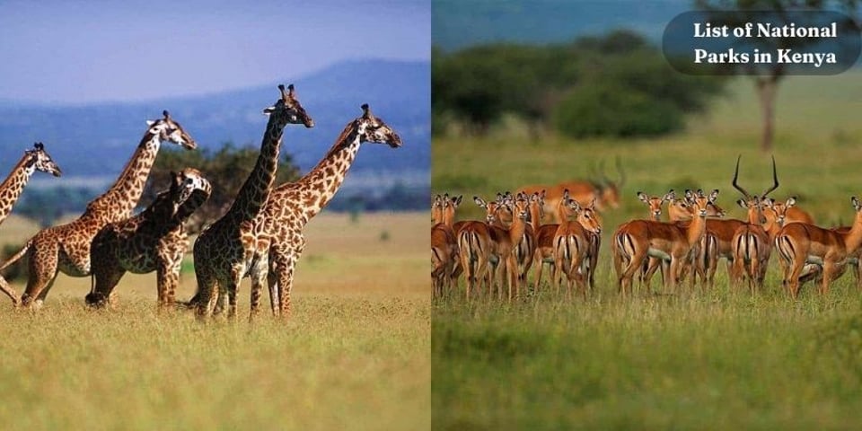 List of national parks in kenya