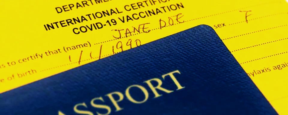 What Vaccines Should I Get Before Traveling to Kenya