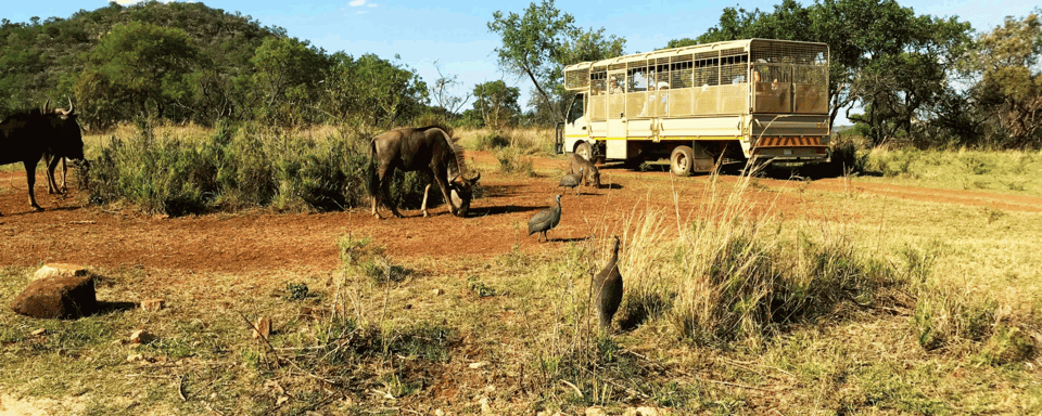 Exploring the Gems of Kenya