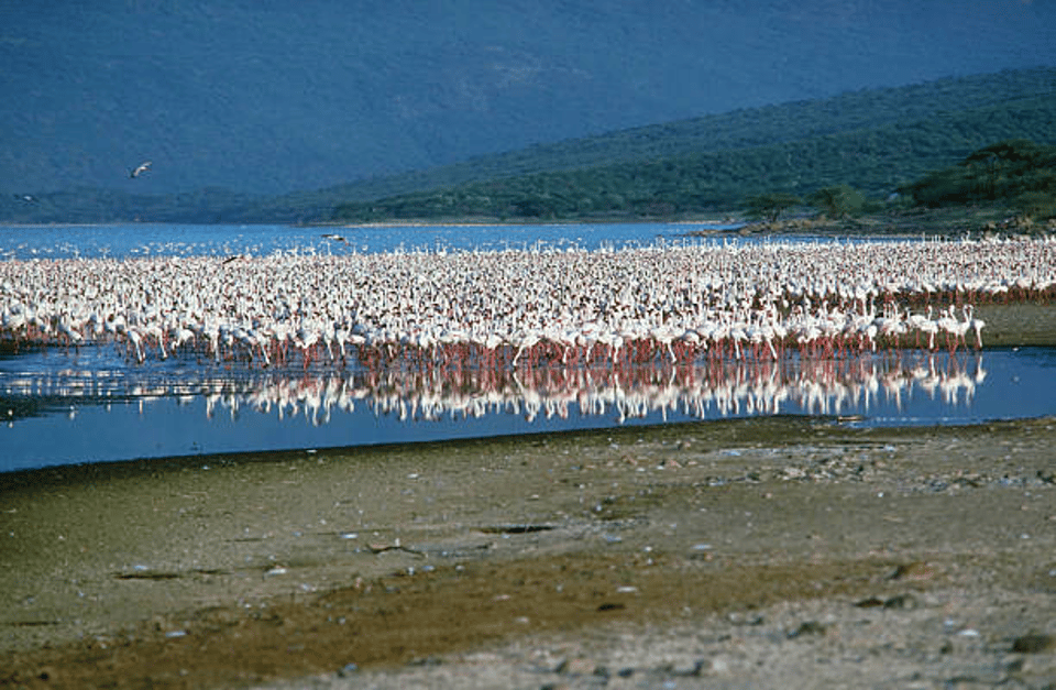 Experience the Great Rift Valley
