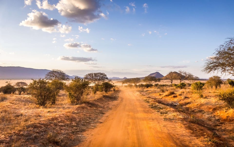 Kenyan Savannah Dirt Path At Dusk