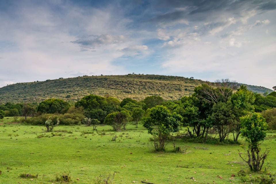Kenyan Savannah On A Cloudy And Blue Day