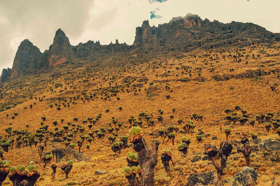 Mountain Peaks In Mount Kenya