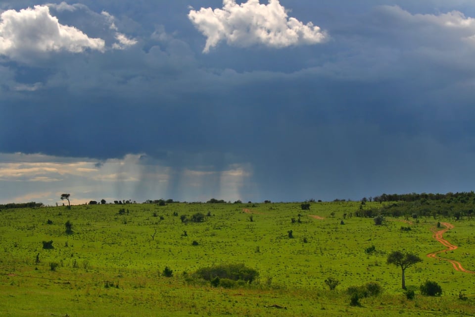 Overcast Skies Over Masai Mara Kenya