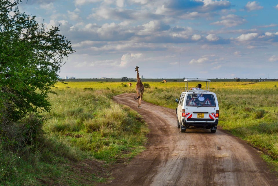 Safari Vehicles Near The Giraffe In The Nairobi Park