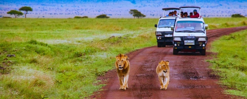 Tourists in Kenya