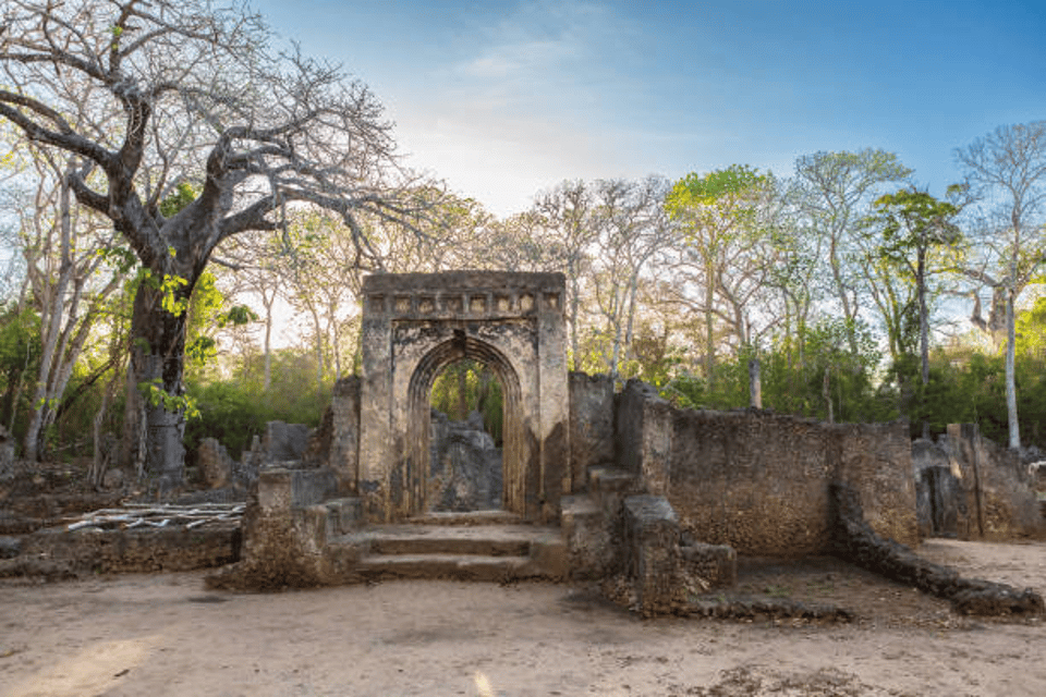 Visit the Gedi Ruins