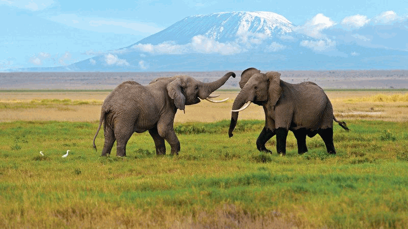hot spot for tourists worldwide