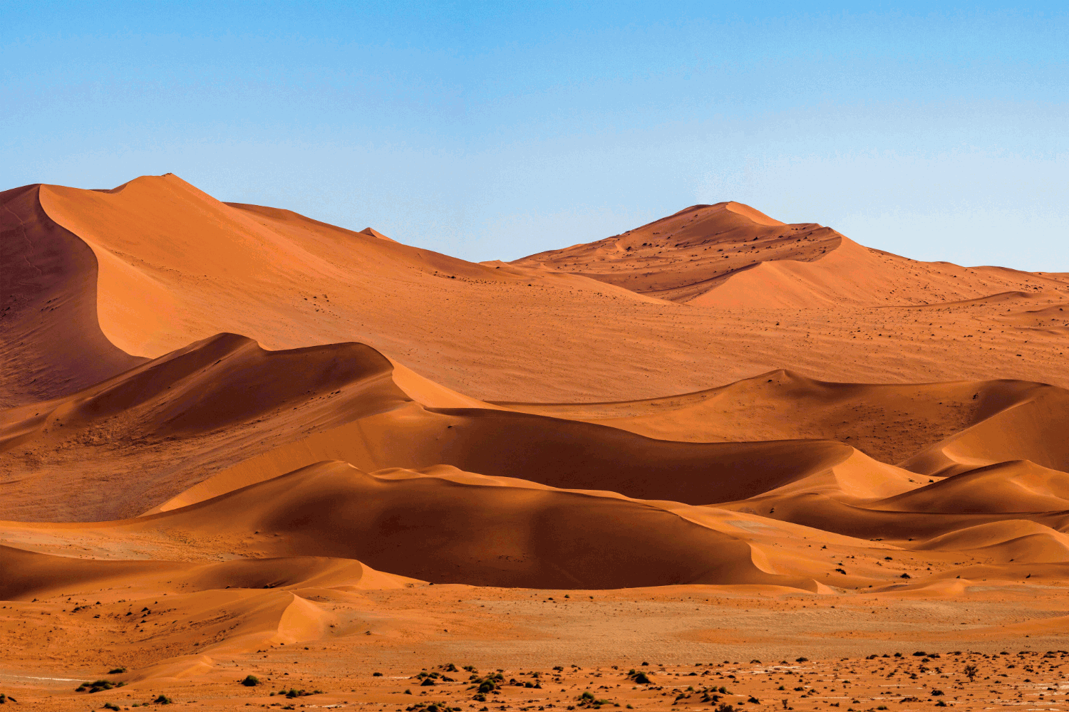 Landscapes